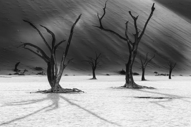 Desert Reflection