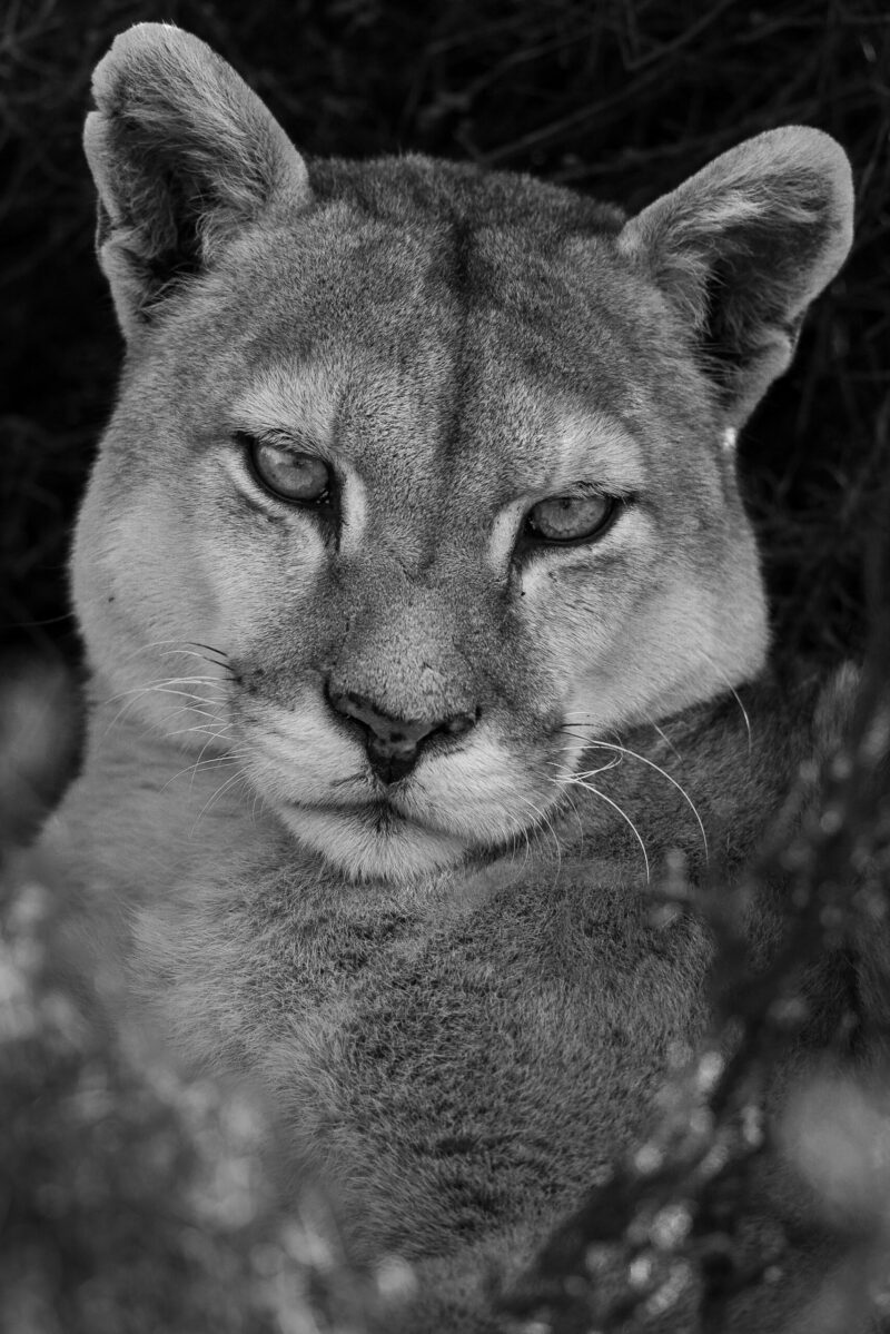Unimpressed